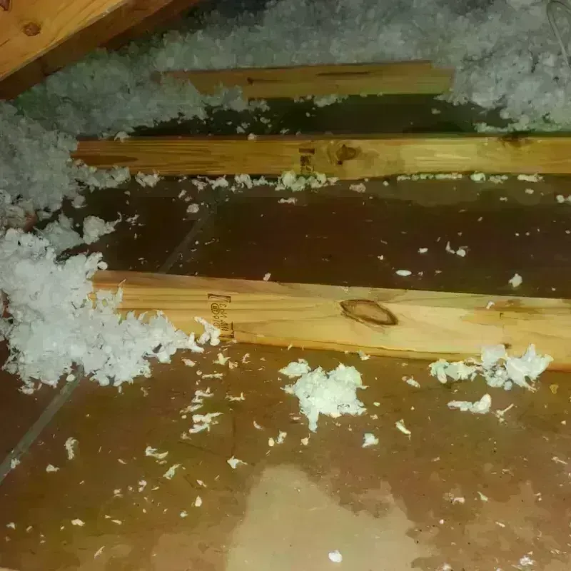 Attic Water Damage in Stamps, AR