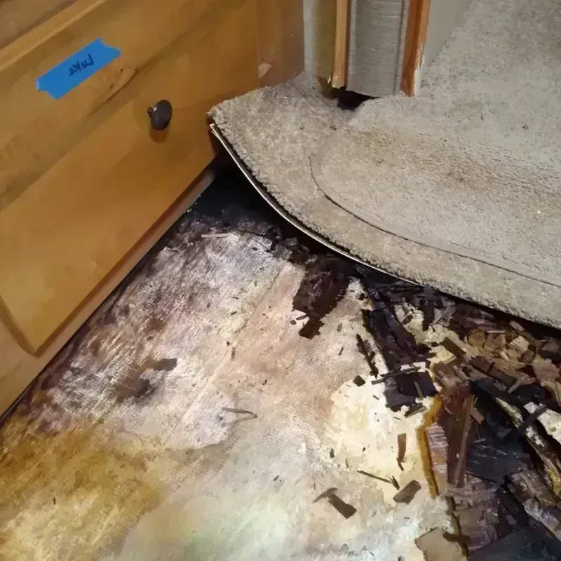 Best Wood Floor Water Damage Service in Stamps, AR